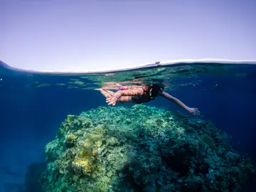 Snorkeling Trip to Giftun Island
