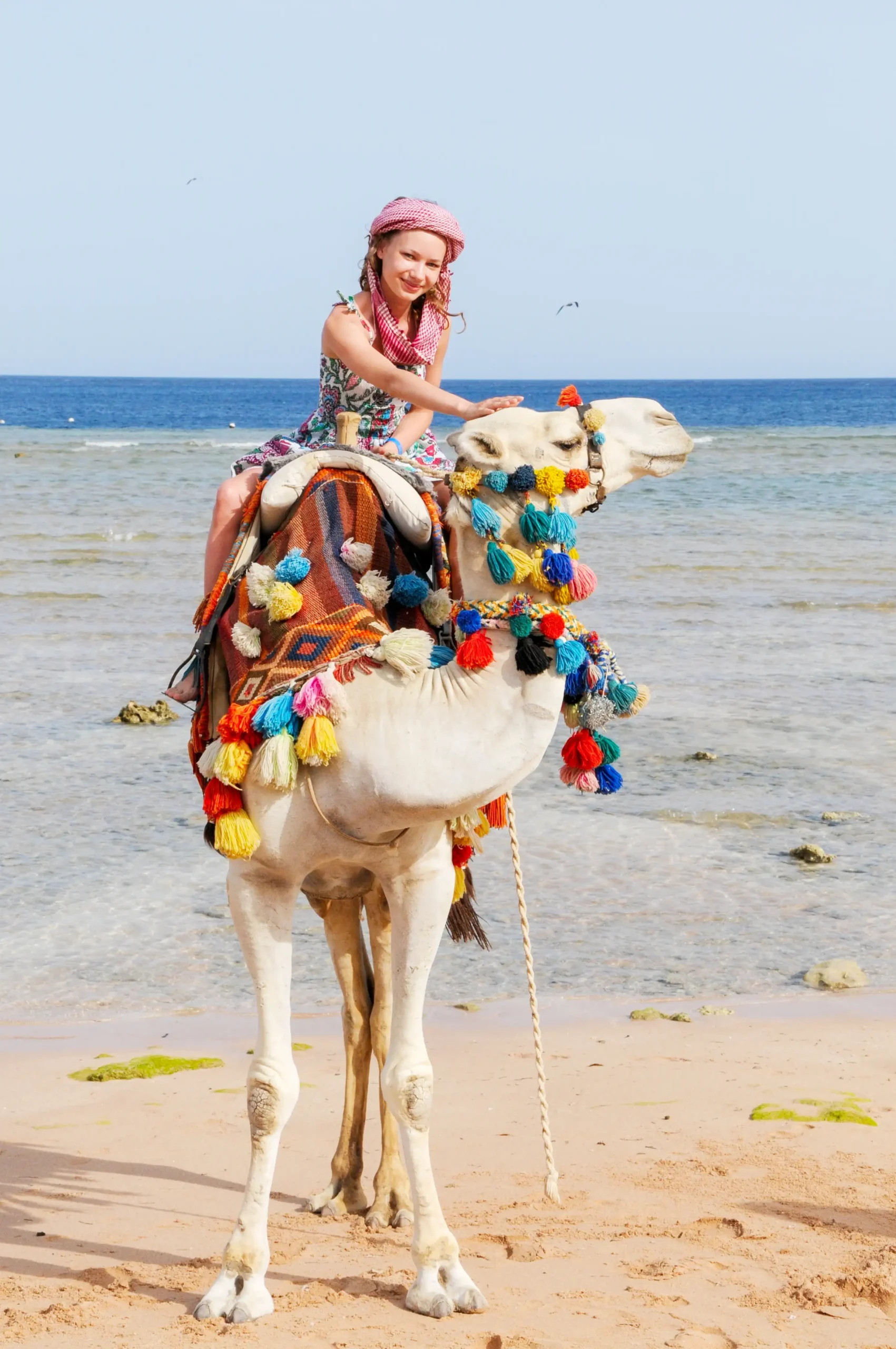 Hurghada Egypt